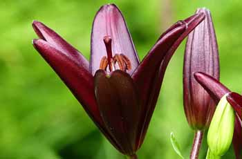 ddos在线压力测试平台