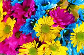 DDOS压力测试网页端